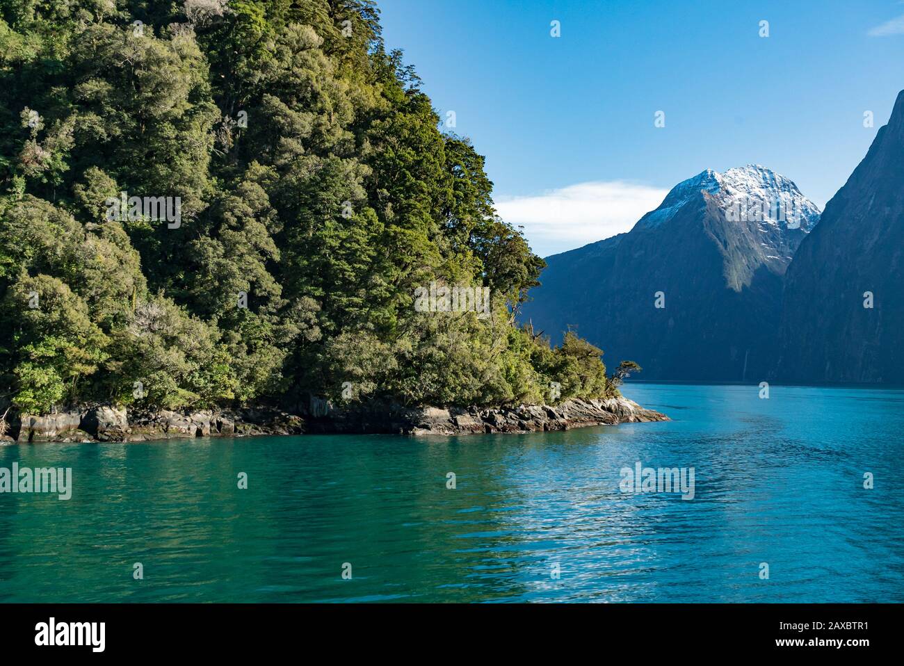 Fitta vegetazione si aggrappa ai ripidi lati di Milford Sound, Nuova Zelanda Foto Stock