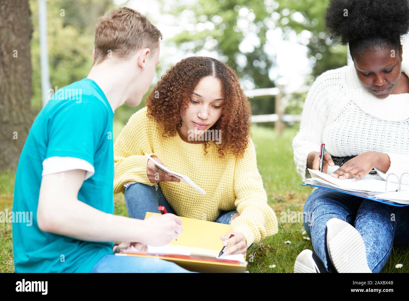 Studenti universitari che studiano nel parco Foto Stock