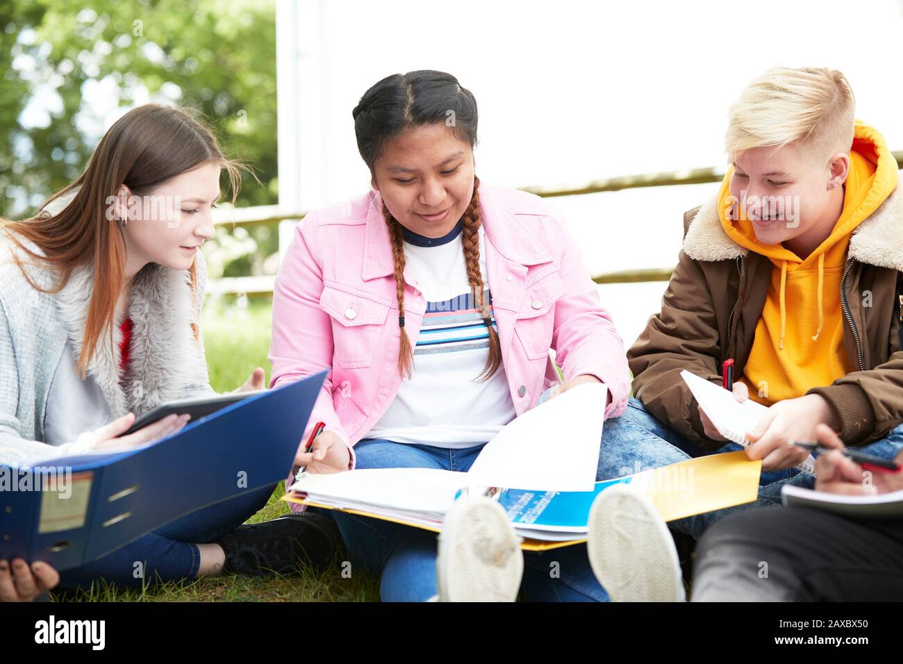 Giovani studenti universitari donne che studiano nel parco Foto Stock