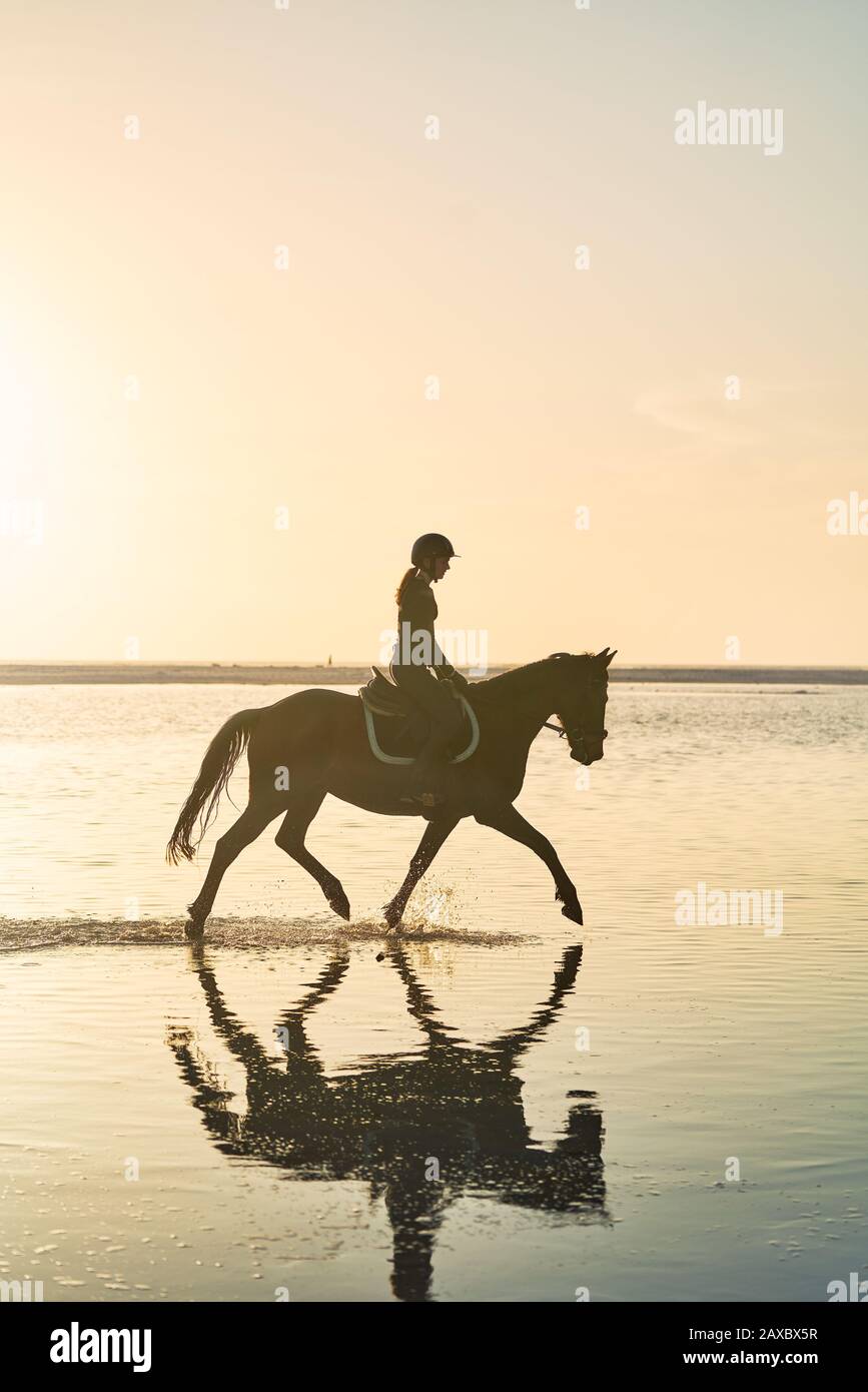 Giovane donna a cavallo nel tranquillo tramonto surf Foto Stock