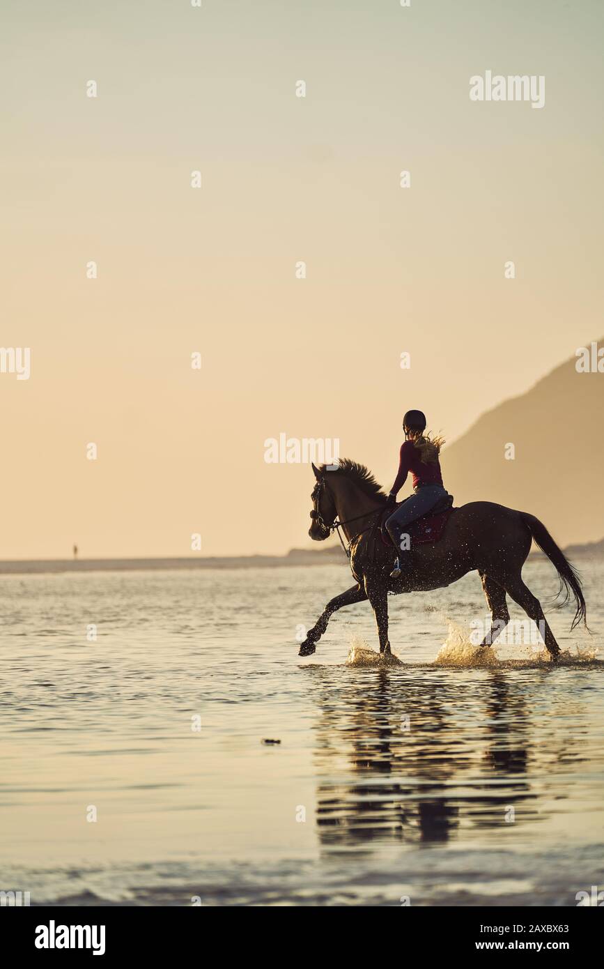 Giovane donna a cavallo in tranquilla tramonto oceano surf Foto Stock