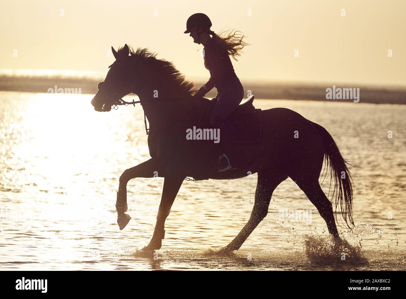 Giovane donna a cavallo in mare surf al tramonto Foto Stock