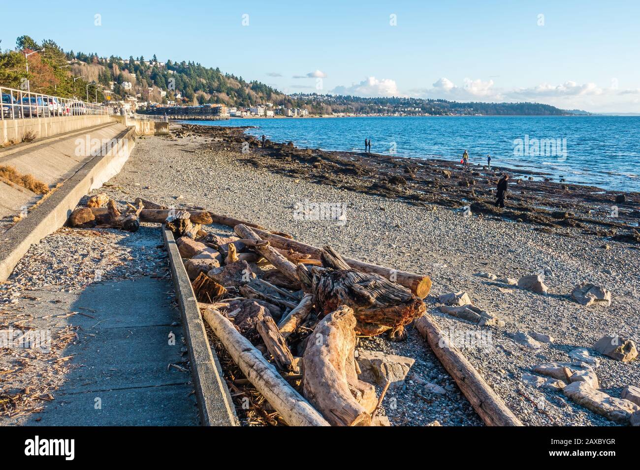 Un muro di mare e una shorelline a West Seattle, Washington. Foto Stock