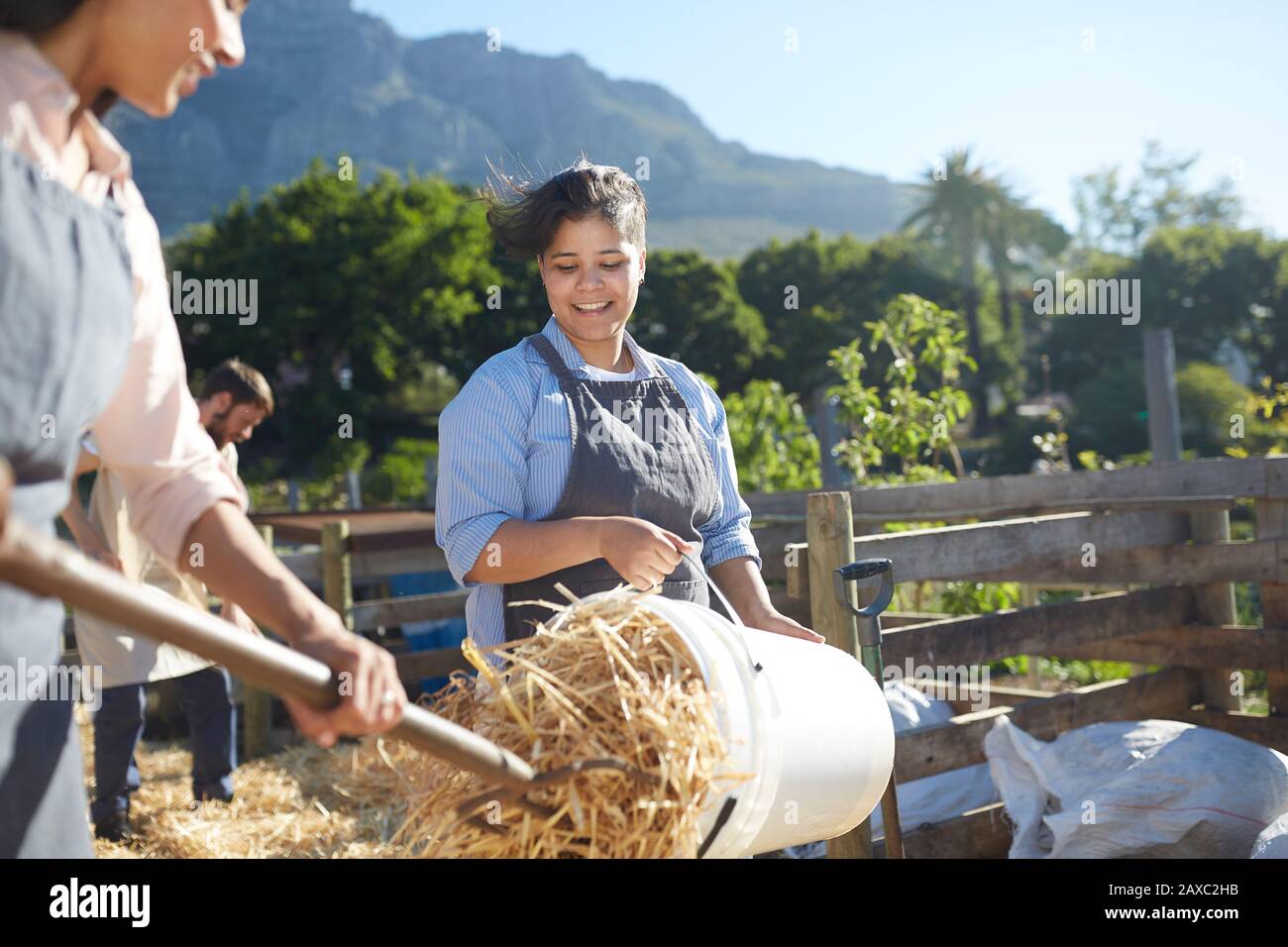 Donna sorridente che lavora in fattoria, vuotando il fieno dal secchio Foto Stock
