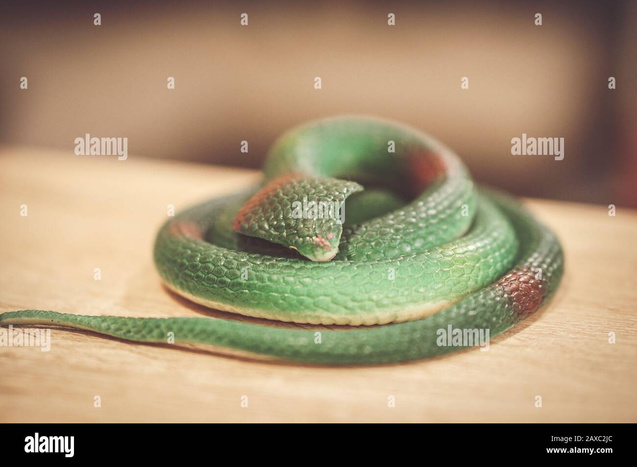 Primo piano con messa a fuoco morbida di un giocattolo in gomma verde a spirale serpente su un tavolo di legno Foto Stock