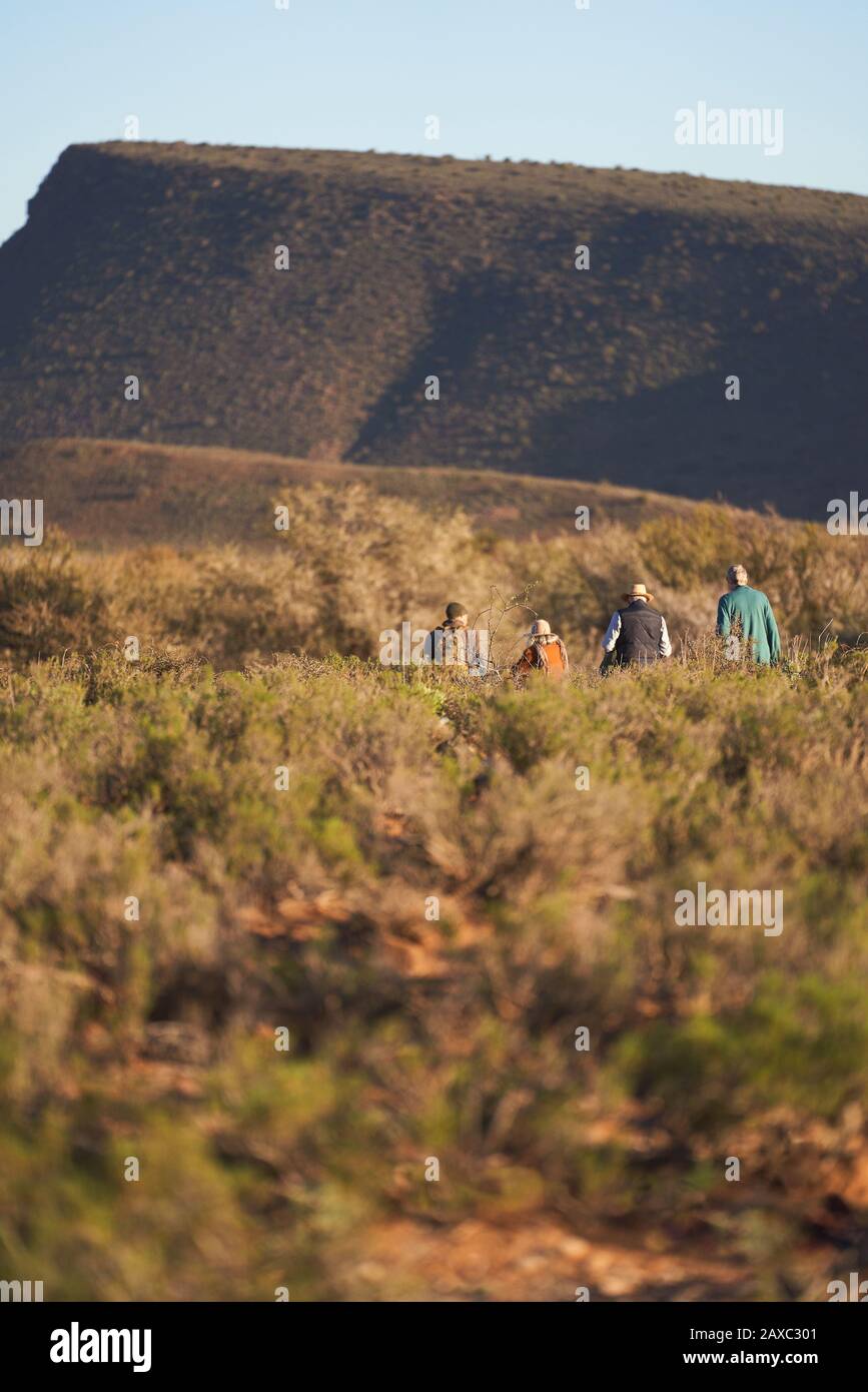 Tour Safari gruppo a piedi lungo soleggiato paesaggio erboso Sud Africa Foto Stock