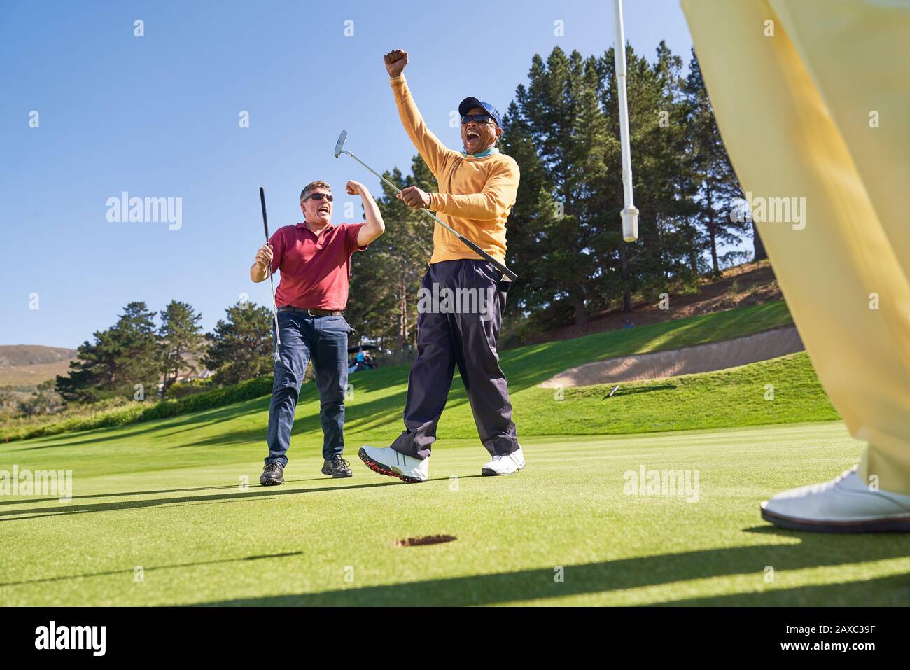 I golfers maschio felici che acclamano sul verde di messa soleggiato Foto Stock