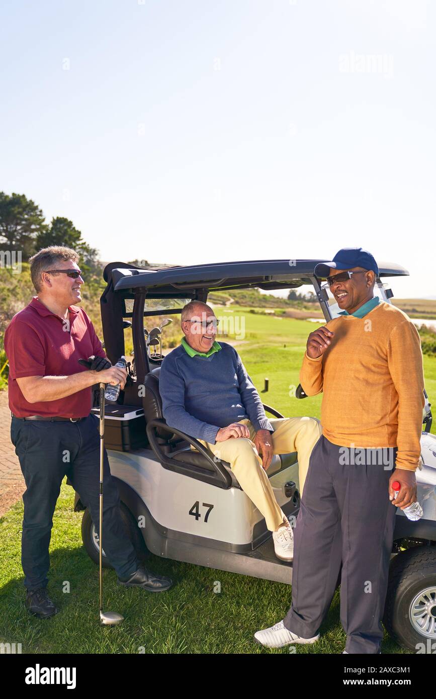Amici del golfer maschio che parlano al golf cart soleggiato Foto Stock