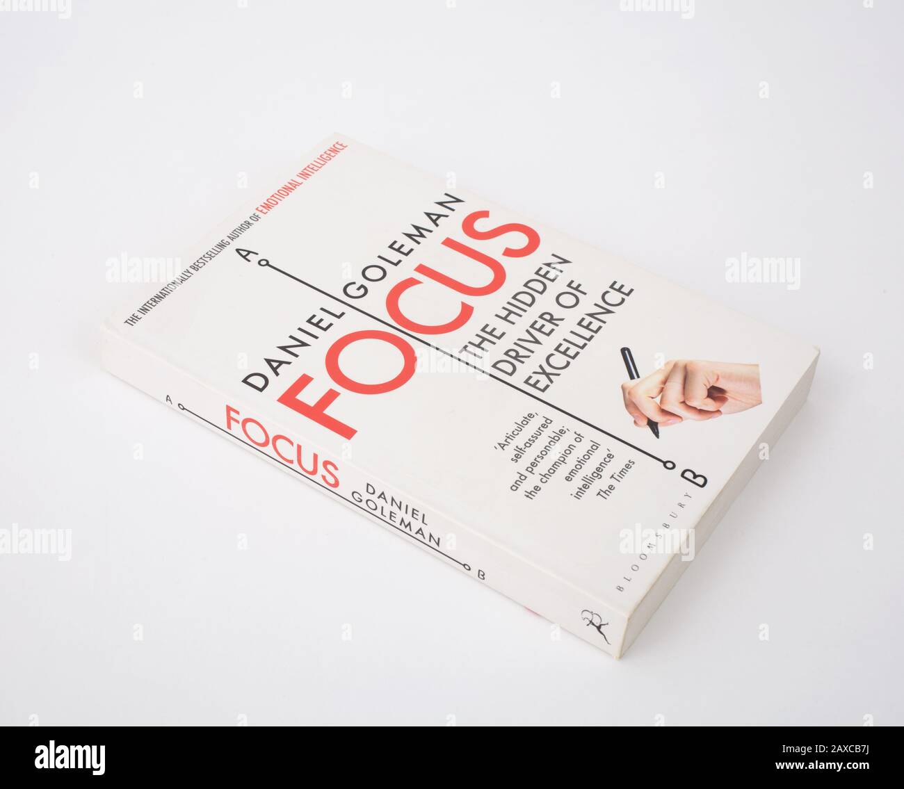Il libro Focus, il driver nascosto dell'eccellenza, di Daniel Goleman Foto Stock