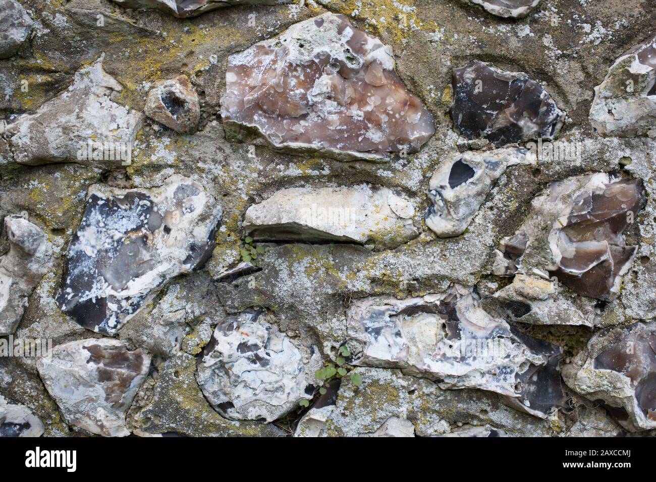 Un antico muro di pietra a Winchester, Regno Unito Foto Stock