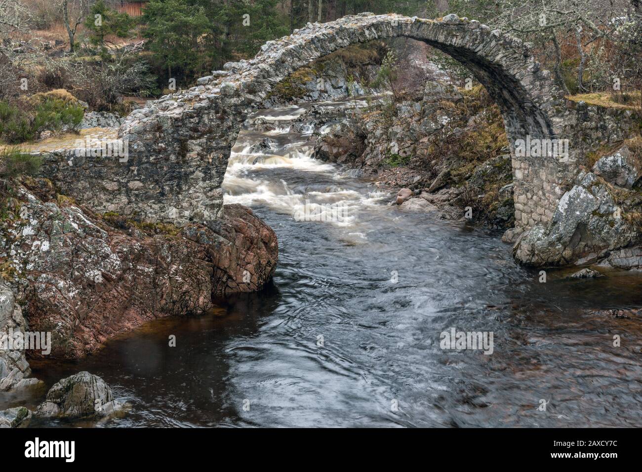 L'Old Packhorse Bridge Sul Fiume Dulnain A Carrbridge, Highlands Scozzesi. Foto Stock