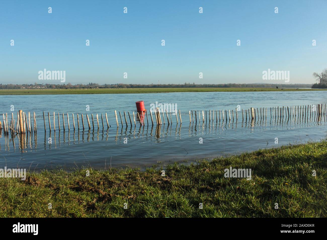 Il Fiume Tamigi Inondando Su Port Meadow, Oxford Foto Stock