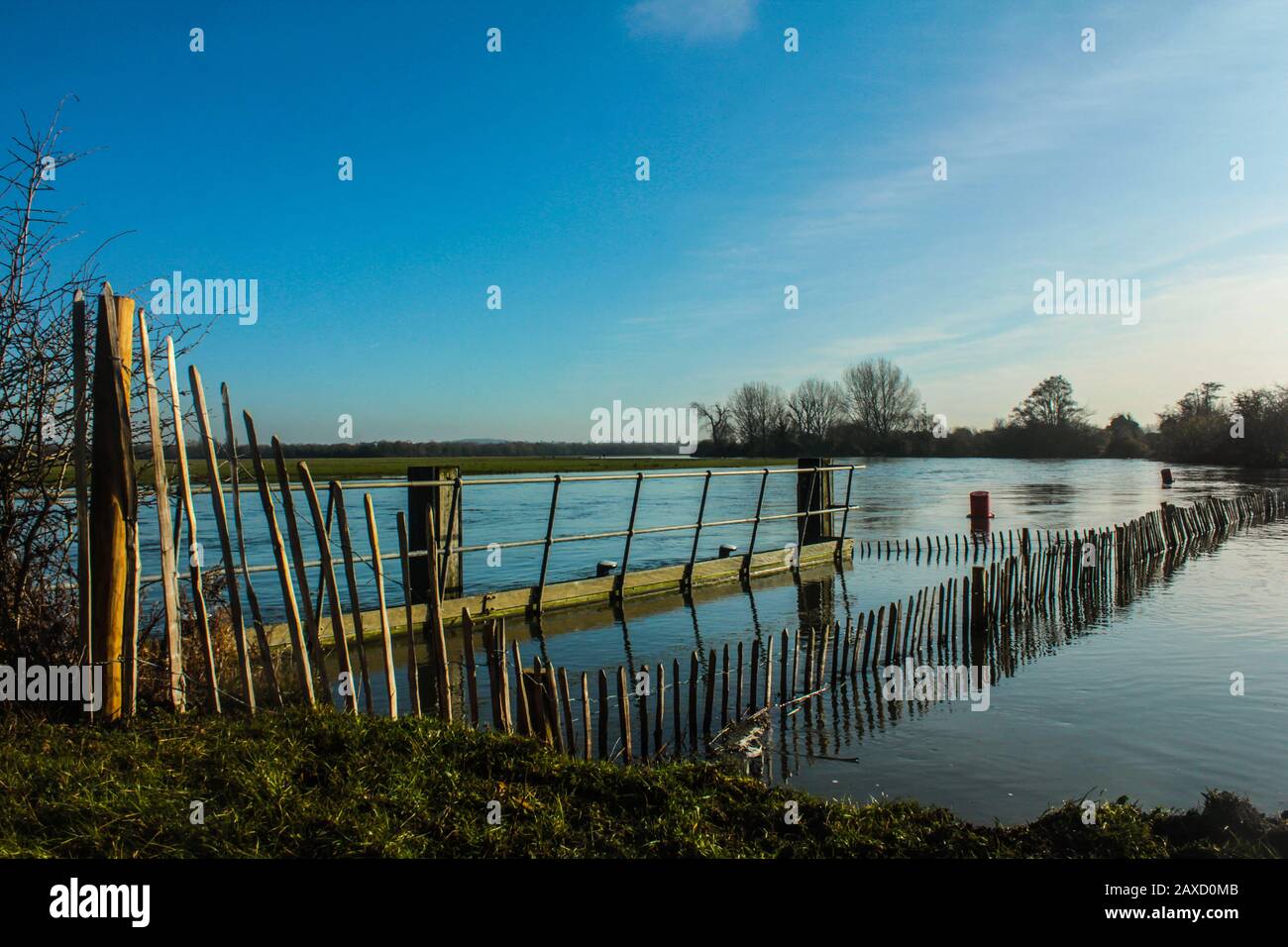 Il Fiume Tamigi Inondando Su Port Meadow, Oxford Foto Stock