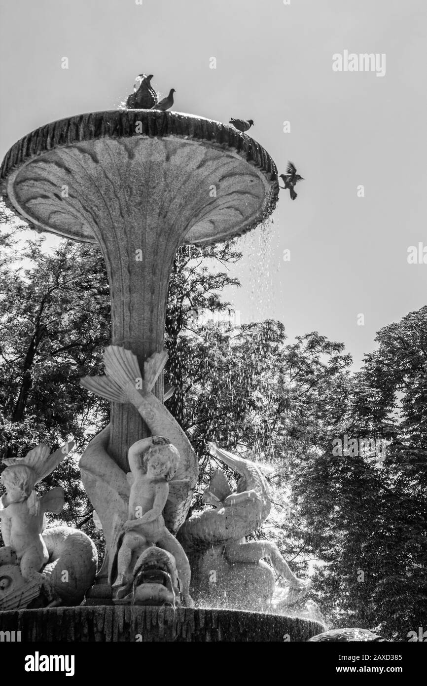 Fuente del Pequeño Tritón Foto Stock