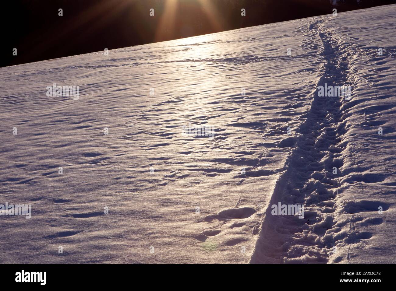 Percorso su campo vuoto coperto di neve in luce del tramonto. Sfondo invernale. Paesaggio congelato. Foto Stock