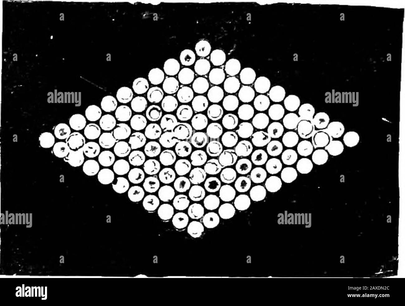 Divertimenti scientifici . Un'altra figura dello stesso genere. Necessario trovare alcuni mezzi di riproduzione artificiallywhat natura ha compiuto con così tanta precisione le superfici di algse. Dopo molti tentativi infruttuosi, Idecide di fare una prova di una piastra stereotipata coperta da punti disposti in quinconse, molto vicini insieme. 92 ILLUSIONI OTTICHE. Il risultato è stato più positivo di quanto sperassi ; l'effetto prodotto è esattamente quello della disposizione dei theso-chiamati esagoni della più bella dell'alga:, thePleiirogma angulata. Se questi stereotipi vengono esaminati con un solo occhio, noi Foto Stock