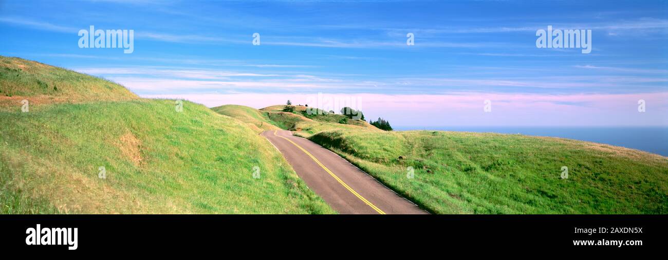 USA, California, Marin County, strada che attraversa un paesaggio Foto Stock