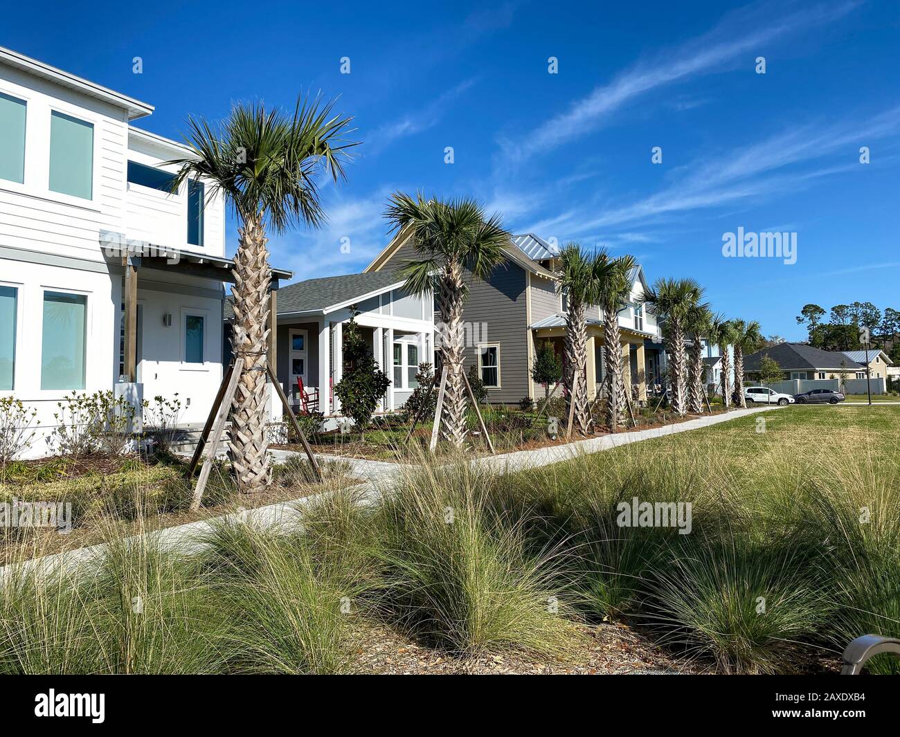 Orlando, FL/USA-2/10/20: Il parco tascabile fiancheggiato da palme che è un percorso a piedi di fronte alle case nel Laureate Park Lake Nona an Orlando, Fioraio Foto Stock