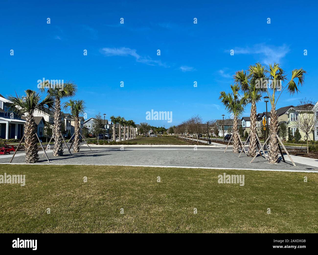 Orlando, FL/USA-2/10/20: Il parco tascabile fiancheggiato da palme che è un percorso a piedi di fronte alle case nel Laureate Park Lake Nona an Orlando, Fioraio Foto Stock
