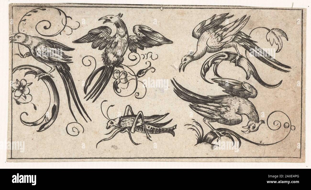 «Vier vogels en een aschhaan; De vogels zitten op takken met ranken.; print; ornamentprent; 1617; 1617;» Foto Stock