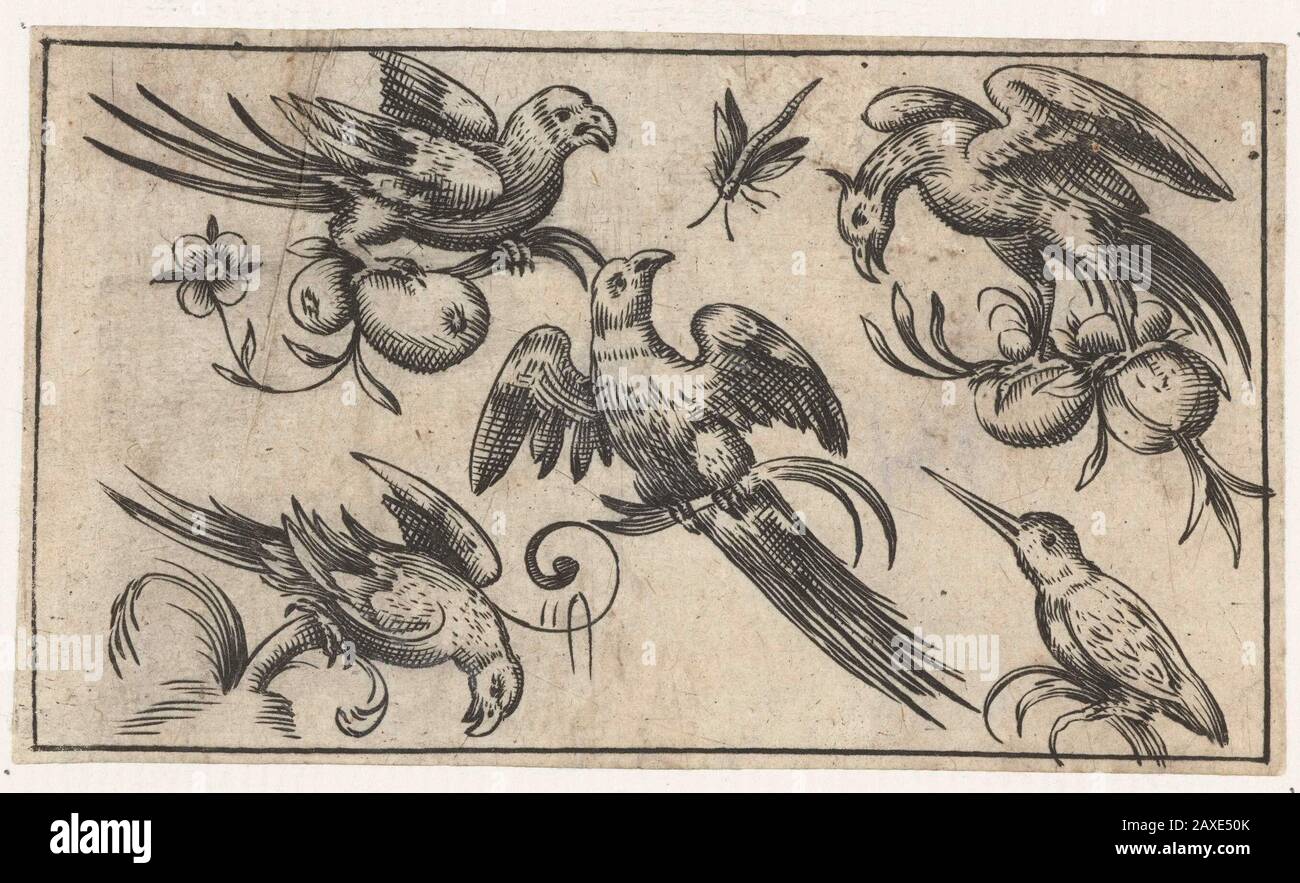 «Vijf vogels en een libelle; Een aantal vogels zit op takken met fruit.; print; ornamentprent; 1617; 1617;» Foto Stock