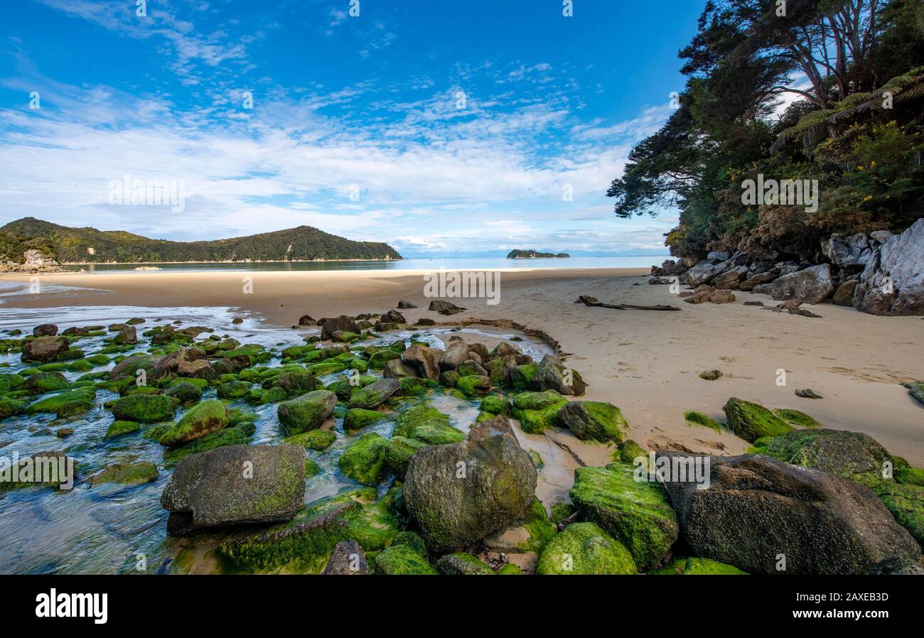 Pietre coperte di muschio sulla spiaggia di Stillwell Bay, Lesson Creek, Abel Tasman Coastal Track, Abel Tasman National Park, Tasman, South Island, New Foto Stock