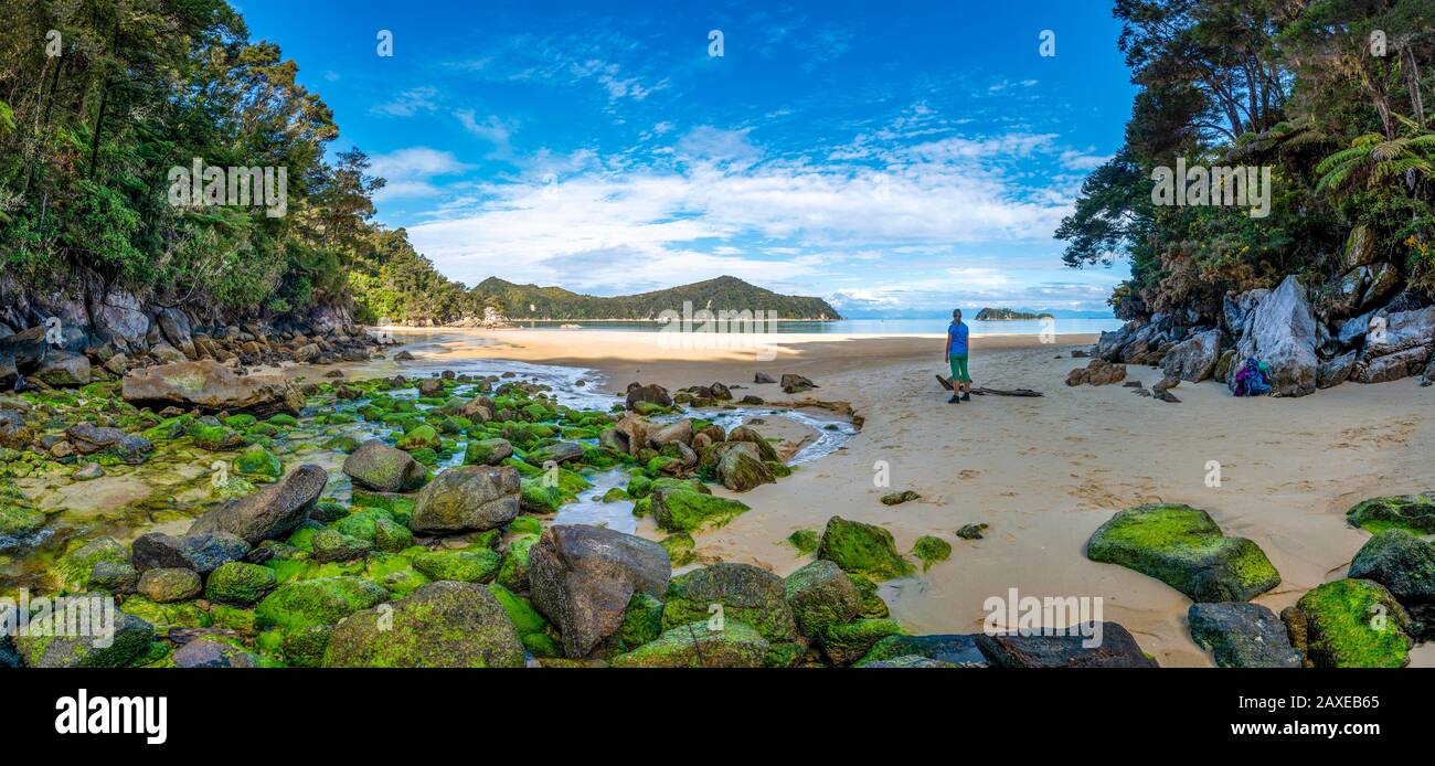 Giovane donna in spiaggia con rocce coperte di muschio, Stillwell Bay, Bach Lesson Creek, Abel Tasman Coastal Track, Abel Tasman National Park Foto Stock