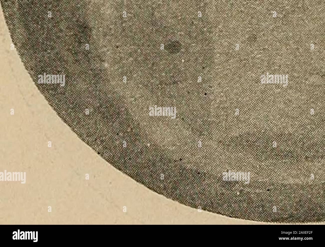 Studi sull'allevamento di cavalli; un trattato illustrato sulla scienza e la pratica dell'allevamento di cavalli . Foto Stock