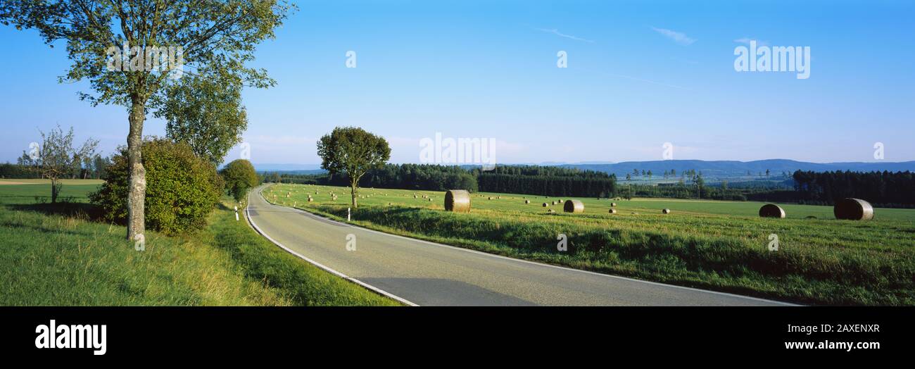 Balle di fieno in un campo, Germania Foto Stock