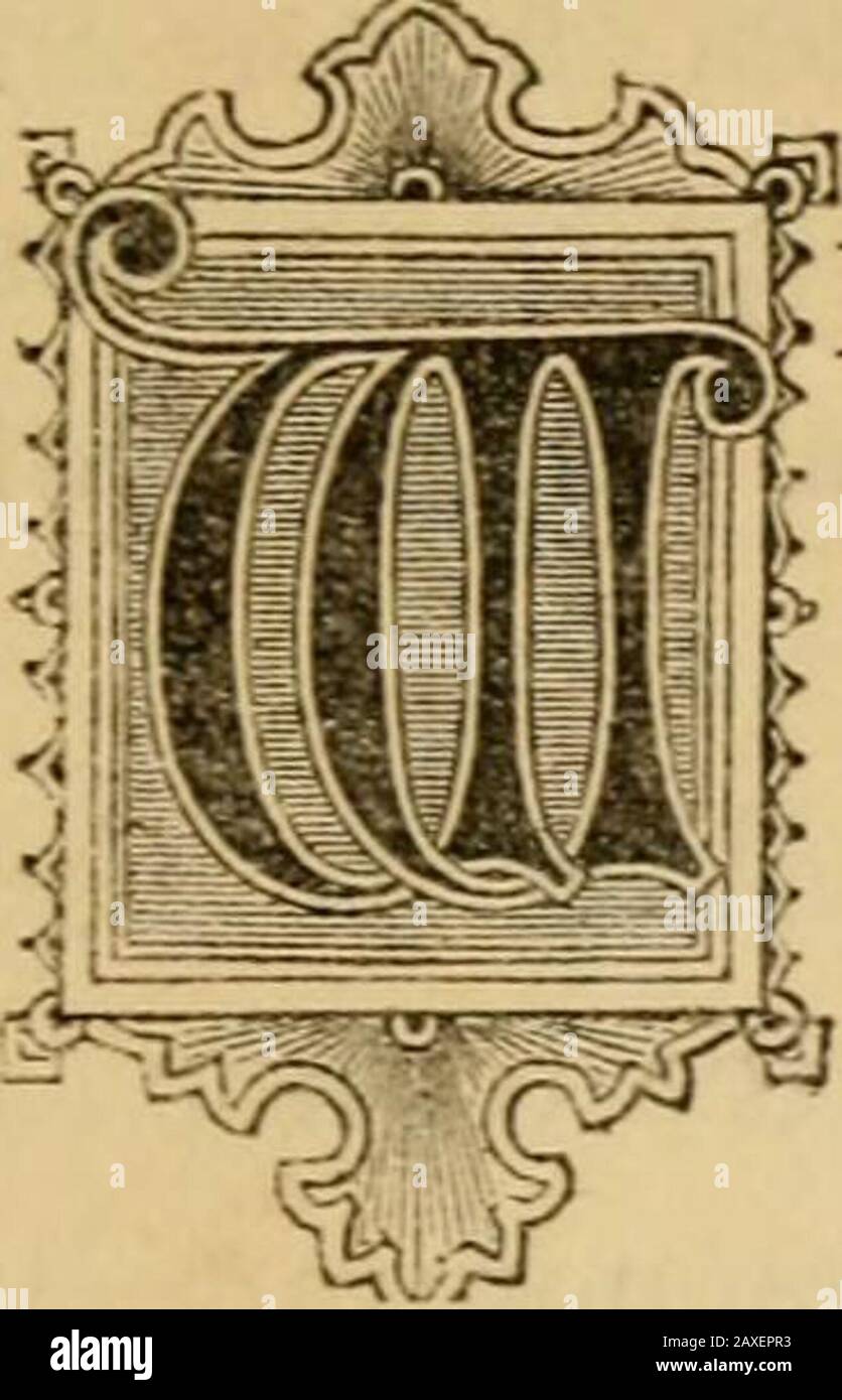 La palma . VN Coco-Nut ^ctlm. (/ ocos Nucifera. - Linn.) ^e hanno visto nell'albero della data il Pahiiof del deserto - nel Calamus, o Ratan, il Paha della Foresta - inla Pahnyra il Pahn della Pianura.jn Il Cocco vediamo il Palmof del Seashore, o come può essere calledthe Ocean Palm. Non solo si sviluppa su strisce di sabbia onda-lavato su entrambi i lati, ma il Coco-Nut Palm è mai il primo, a volte l'unico treeche si trova su quelle piccole isole coralline che punteggiano theIndian e Sud Pacifico oceani. Queste barriere coralline assumono una varietà di forme. Alcune volte thej^ sono di forma circolare che inclosing a la Foto Stock