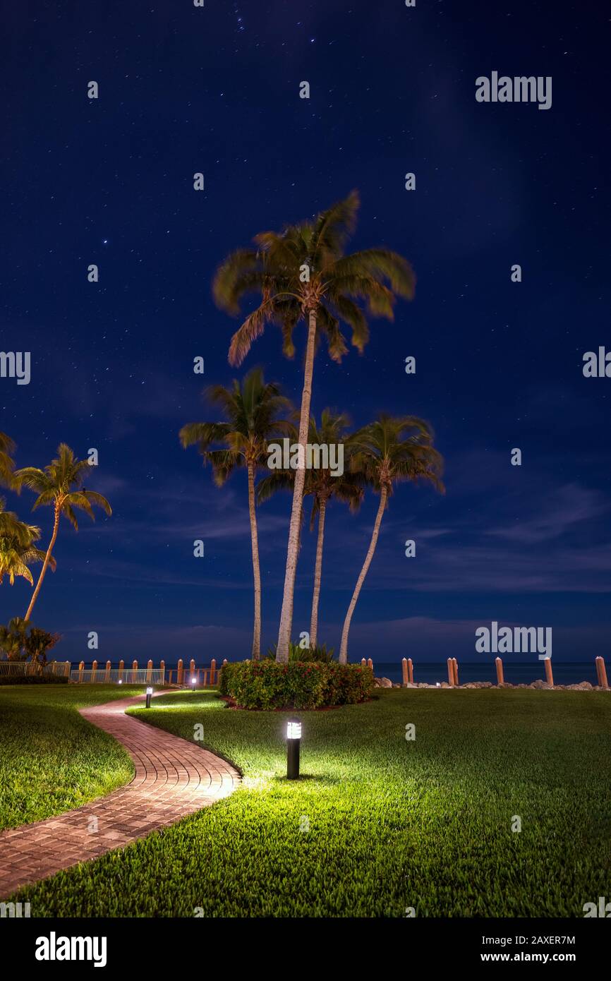 Palme sotto il cielo stellato in una splendida destinazione turistica, Marco isola sul golfo del Messico con un cielo pieno di stelle di spirito Foto Stock