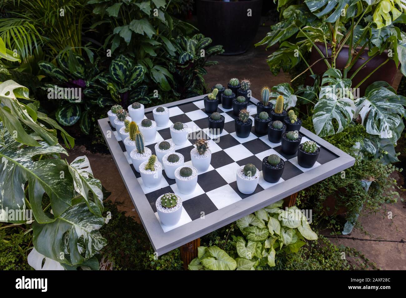 Una scacchiera con pezzi di cactus nel Giant Houseplant Takeover, un evento tenuto nel Glasshouse presso RHS Gardens, Wisley, Surrey, UK Foto Stock