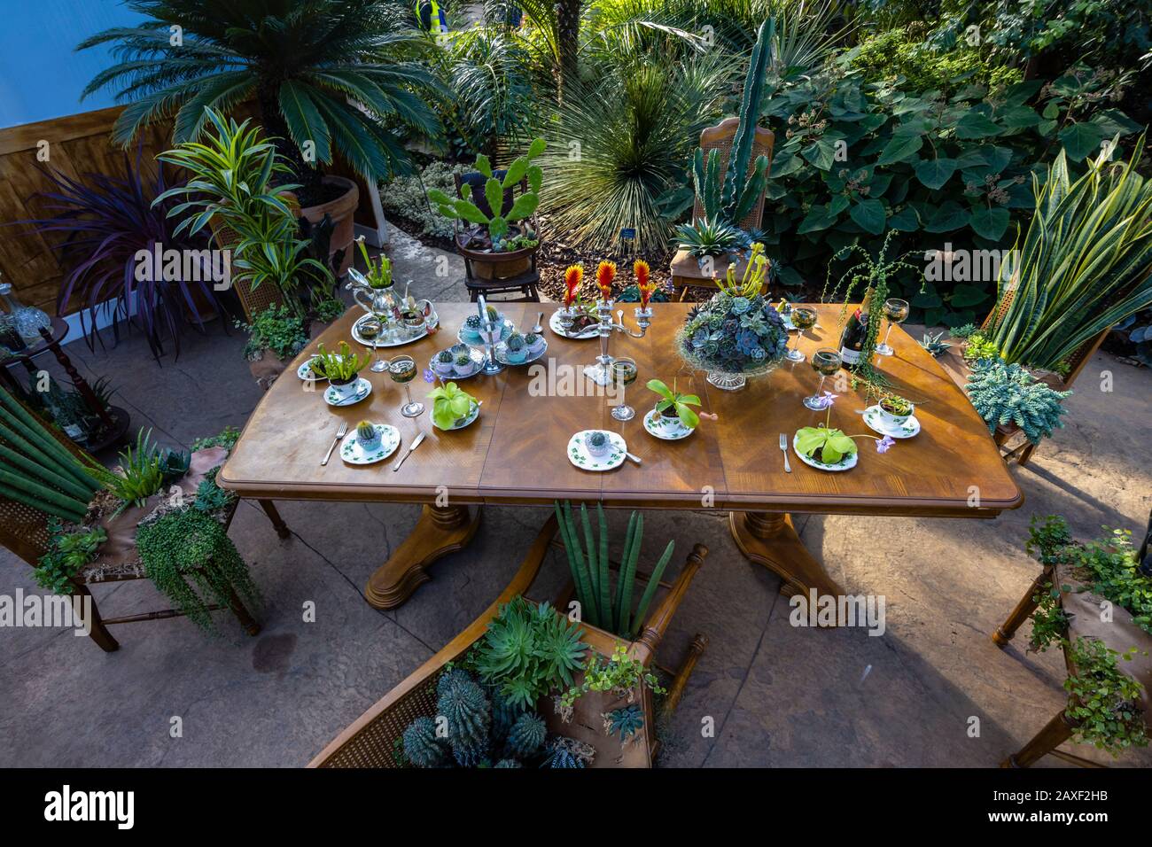 Sala da pranzo con tavolo e sedie nel Giant Houseplant Takeover, un evento tenuto nel Glasshouse a RHS Gardens, Wisley, Surrey, UK Foto Stock