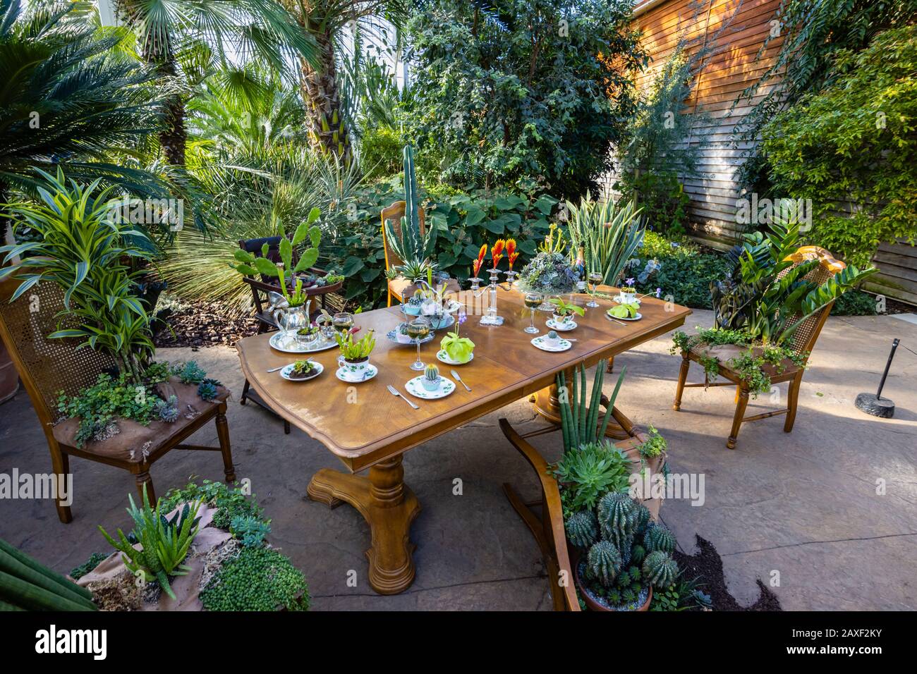 Sala da pranzo con tavolo e sedie nel Giant Houseplant Takeover, un evento tenuto nel Glasshouse a RHS Gardens, Wisley, Surrey, UK Foto Stock