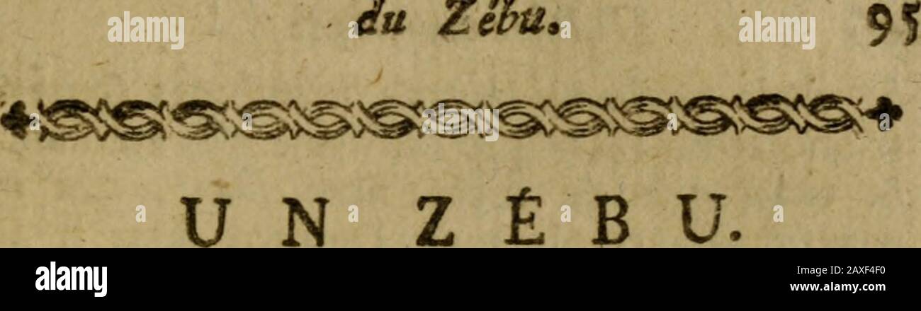 Histoire naturelle, générale et particulière, avec la description du Cabinet du roi . hc ) tçmt IIT,ihaf, Xt, p. 2j, 94 Hlpoire naturtlU bœuf , il Court auflî Plus légèrement furterre. Les Nègres en Guinée , & les Indien»au Malabar, où les bufRes fauvages font eagrand nombre , scerent fouvent à leschafler , ils ne les pouribvent ni ne les atta-quent de face, ils les attendent, gripés furdes arbres, ou cachés dans léeur de iaforêt, Que les buffles ont de la peine à pé-nétrer à caufe de la GroiTeur de leur Corps& de lembarras de leurs cornes : ces peupestrouvent la chair du buffle bonne Foto Stock