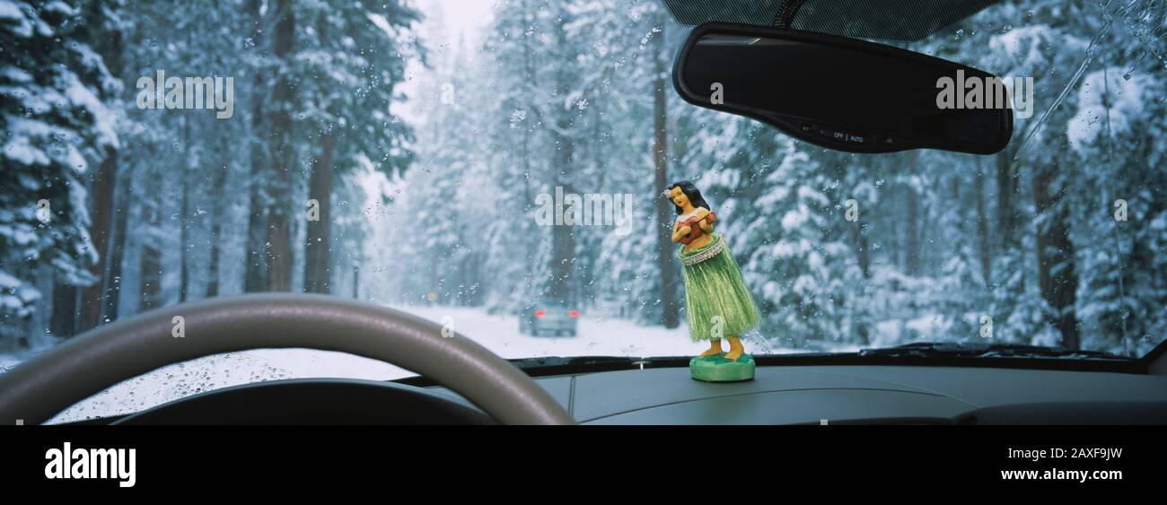 Primo piano della figurina di una ragazza hula sul cruscotto di una macchina in una foresta, Yosemite National Park, California, Stati Uniti Foto Stock