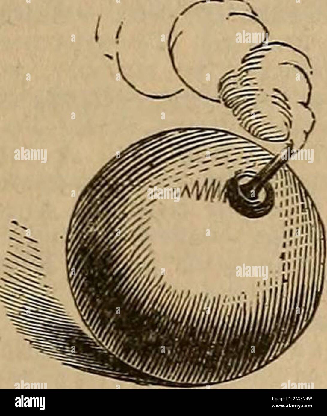 Dizionario pratico di Webster; un dizionario pratico della lingua inglese che dà l'ortografia corretta, la pronuncia e le definizioni delle parole basate sul dizionario non coperto di Noah Webster .. . tedvarietà di cane. [Not f r. gray.] Griddle, gridal, n. Un piatto, largo ;crosta poco profonda, per torte di bak-ing; un coperchio, a closean apertura nella cima di astove; un setaccio con un bot-tom filo, usato dai minatori.- Gridiron, -i-ern, n. Un gratedutensil per la carne di broiling, ecc. Grief, gref, n. Dolore della mente ; senso doloroso di perdita ; cau se del dolore. Grieve, grev, i t. [Grmeded(gred), ADDOLORANTE.] per l'occasione addolorata Foto Stock