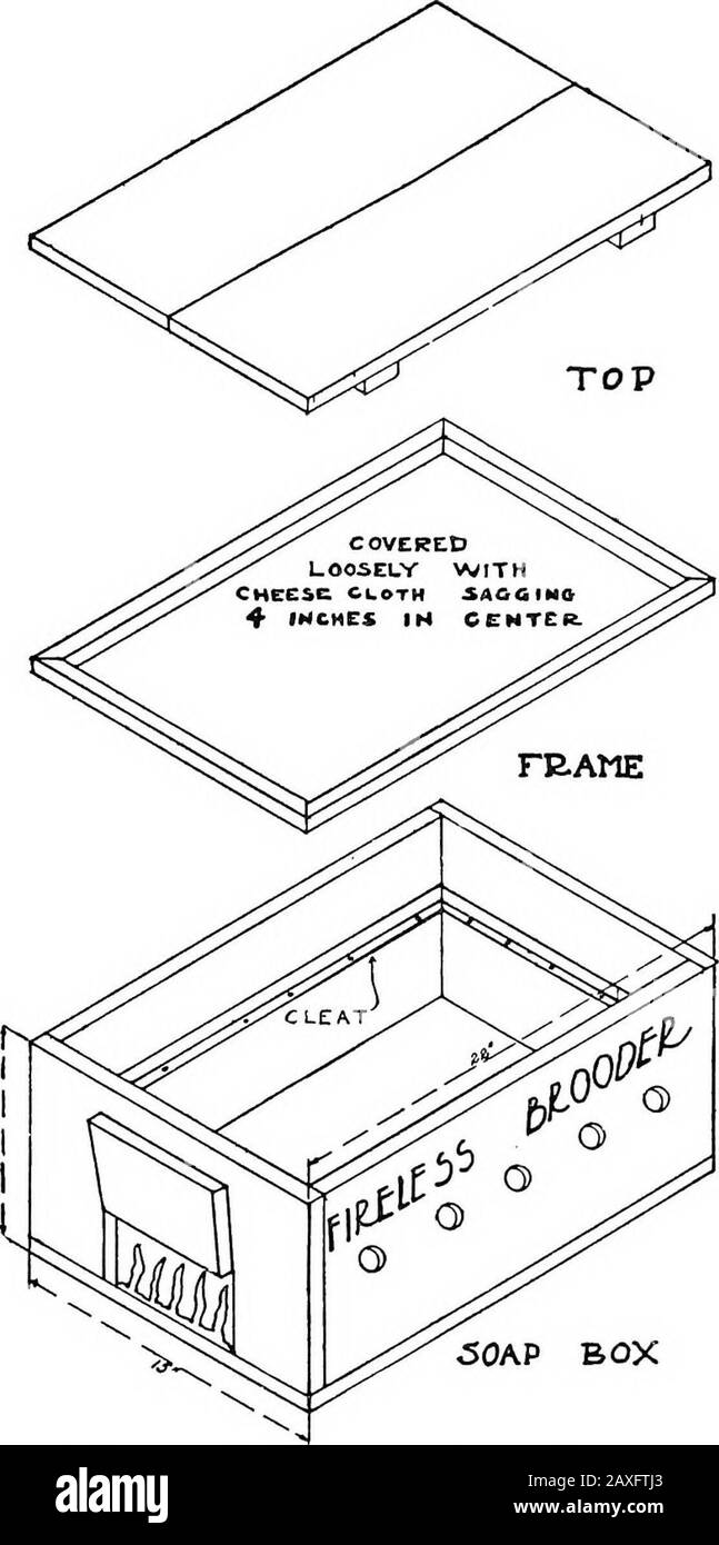 Igiene e igiene della cultura avicola . Fig. 171.-un brooder infaticabile, economico ma efficiente: A, Box; b, aperture di ventilazione con lidesting incernierato; (, la cornice rimovibile, ricoperta di formaggio-stoffa e sulla quale un sacco di piume o coperta di lana può essere posto come protezione dall'alto. Questo panno-formaggio è fatto per sag nel centro. Messo in un brooder infaticabile. Con questo metodo i piccoli lotsdo migliori di quelli grandi. Una piccola quantità di figliata è placedin il fondo del hover e deve essere cambiata spesso. Thechicks deve essere guardato attentamente per vedere che sono warmenough e ancora non troppo caldo. Se l'abete Foto Stock