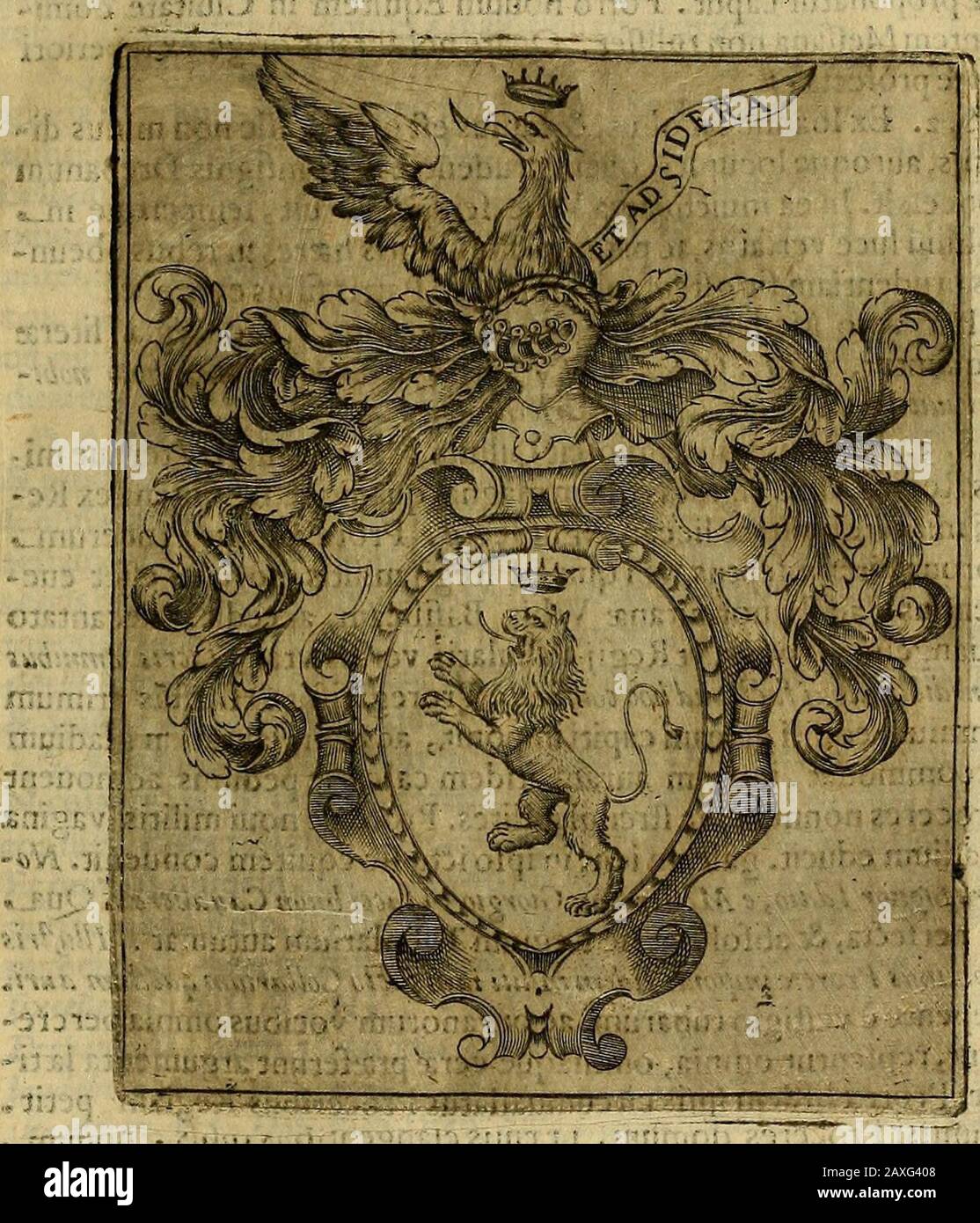 DFrancisci Baronii ac Manfredis De maiestate Panormitana Libri IV . mido hafla agora remunerafonn alcuna dellos, mande V. Mag. Quefele haga enfupreten/ion la onra-g) merfedque efpera defugrandeTapor quefe empleard muy bten enfu-perfona. Guarde Dios a V. Mag. Como la Cri-(itanidad ha menefier. De Palermo aiq.de Enero i619. §. xiv. Plura continet, vt vides, h USD c epiftola, quam innui. IC-gito.attendito.iudicato. Aloyfius itaque vt nobilitate prasclarus,fic virtute conficpicuus quamuis in Vrbe panmitana,regnoque si-cilia? mania quidem, eaque prxcipua potuifluiflet obire, femper tamenab ljs fibi comp.aran Foto Stock