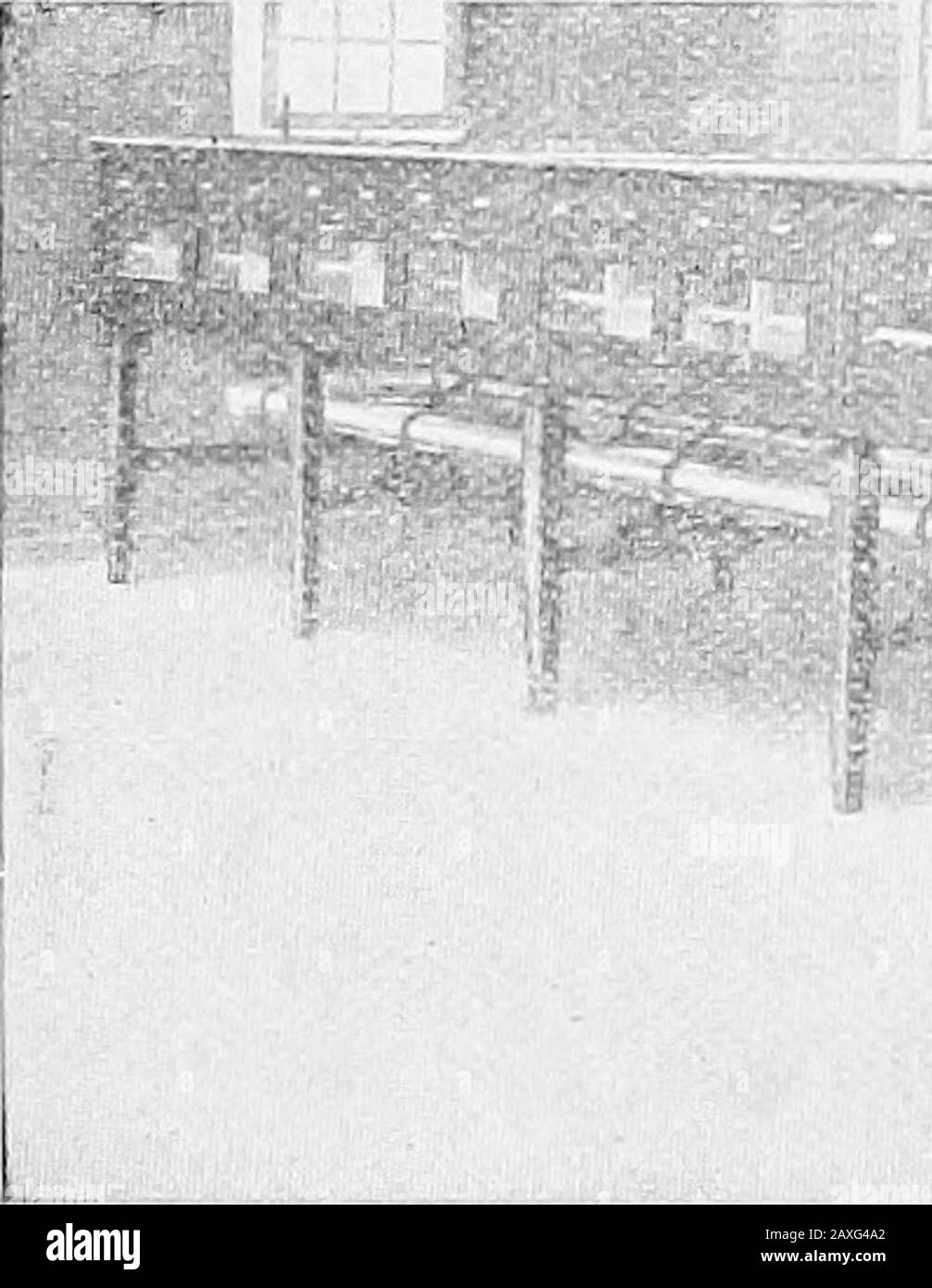 Igiene e igiene della coltura del pollame. G deve essere preso awayappena schiuso e avvolto in stoffa di lana. Se questo è notdone, la gallina o l'oca può lasciare il suo nido prima della schiusa isover. Essi dovrebbero essere tenuti confinati con la madre fino a circa cinque giorni di età. Elettrobator.- incubatori e brooders elettrici sono stati immessi sul mercato. Lo stesso principio di costruzione è usato come in quelli che bruciano gas, carbone, o petrolio. Essi sono costruiti in modo tale da poter essere fissati a qualsiasi linea elettrica di distribuing comunemente utilizzata nelle abitazioni. TheyMay può essere operato in una cantina o in qualche roo Foto Stock