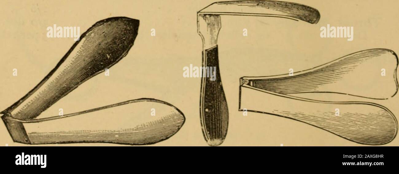 Catalogo di strumenti per chirurghi e applicazioni mediche apparecchiature elettroterapeutiche per la chirurgia e la sala malati, cassapanche mediche, ecc . Fig. 349 - Fig. 350. Depressori A Linguetta pieghevoli, filo, nichelati (Fig. 349). . 2/0 ciascuno.Do. Do. Seghettato, nichelato (Fig- 350) .... 2/6 „. 1 FIS- 351 - Fig. 352. Fig. 353. Lame Incernierate, Concave, elettroplaccate (Fig. 351). 5/6 ciascuno. Do. Elettroplaccato e dorato (Fig. 353) 6/6 „ Rettangolare, elettroplaccata e dorata, con manico di ebano (Fig. 352) 6/0 ,. Cugini rione, nichel-placcato 6/6 Tonsil Bistrouries 3/0 ciascuno. Foto Stock