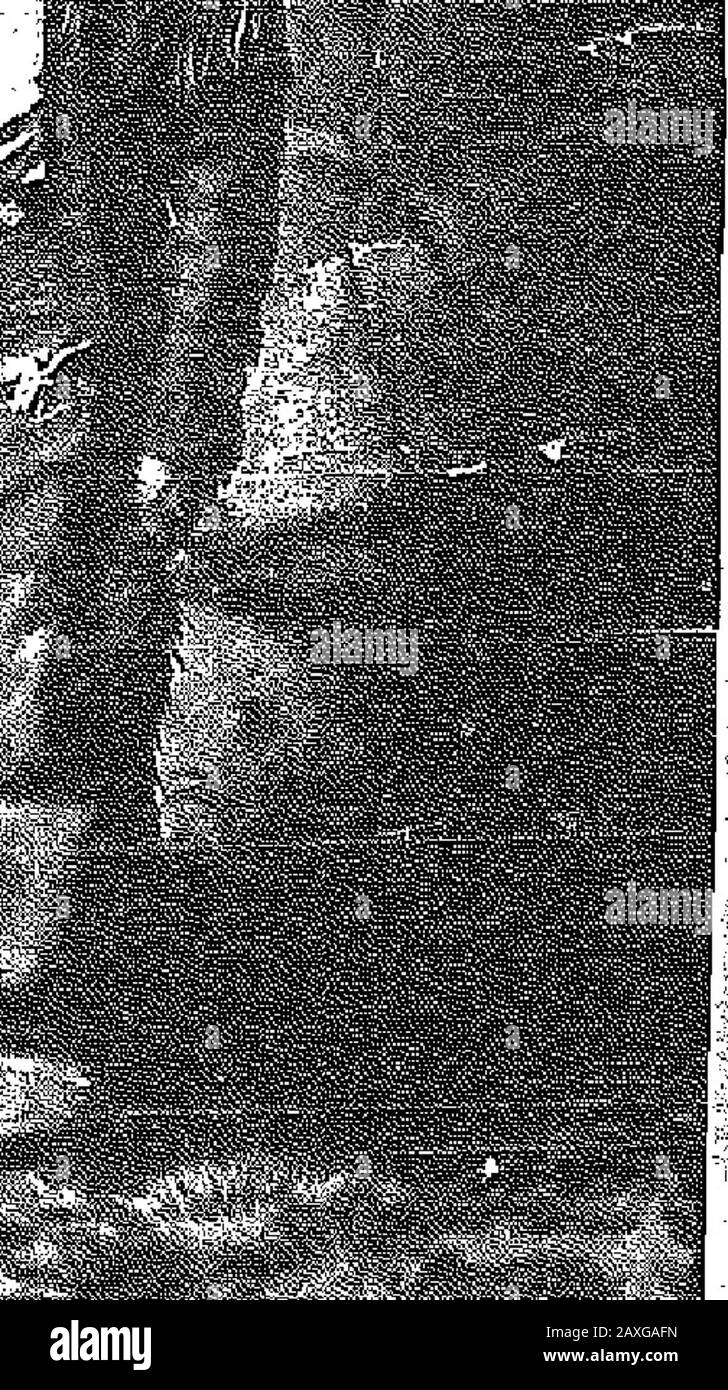 La guerra Cry . ha dato più della metà dei suoi mobili di casa per ottenere 111 in fuori di debtand nascondere la vergogna e la vergogna. SoonAfter questo ha deciso di tnovo backto città whero sho eould bave un op-portunity per guadagnare pane e burro per i bambini. Llttlo meraviglia era che Jack leftschool a dodici per provare con carta-sellingto aggiungere alle madri guadagni. In quei giorni woh agood boy, polto e kinda vinse molti amici. Ha persino andato alla scuola di domenica, ma confessa che hteehlef motivo per desiderare eccellere le domande di Inanowerlng era di guadagnare l'ap-probation del suo insegnante. Tho Hermans ^r^^rt^ti^TCI Foto Stock