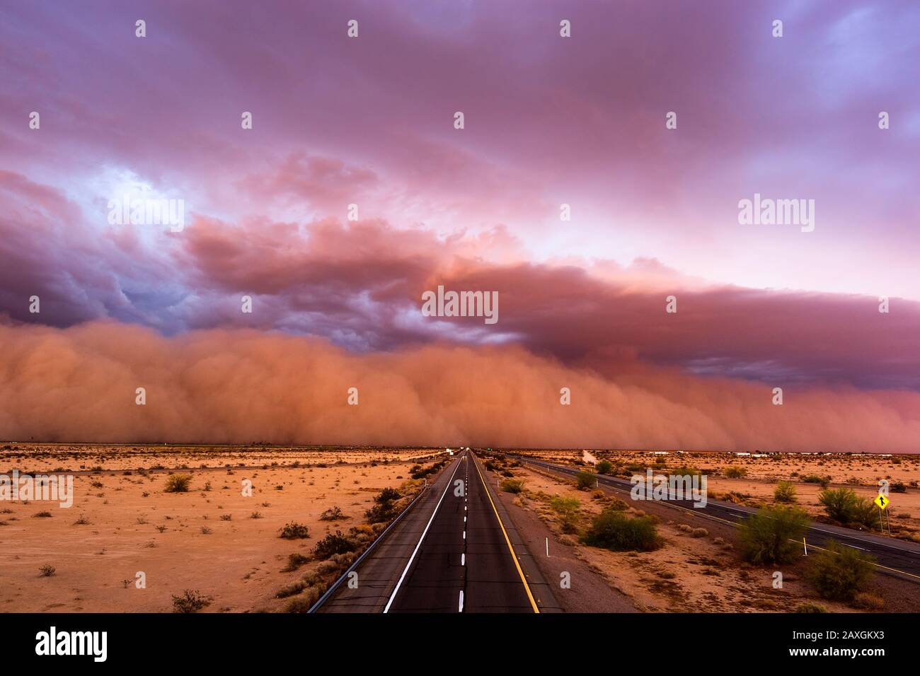 Una fitta tempesta di polvere haboob nel deserto dell'Arizona, davanti alla tempesta di tuoni monsonici vicino a Wellton Foto Stock