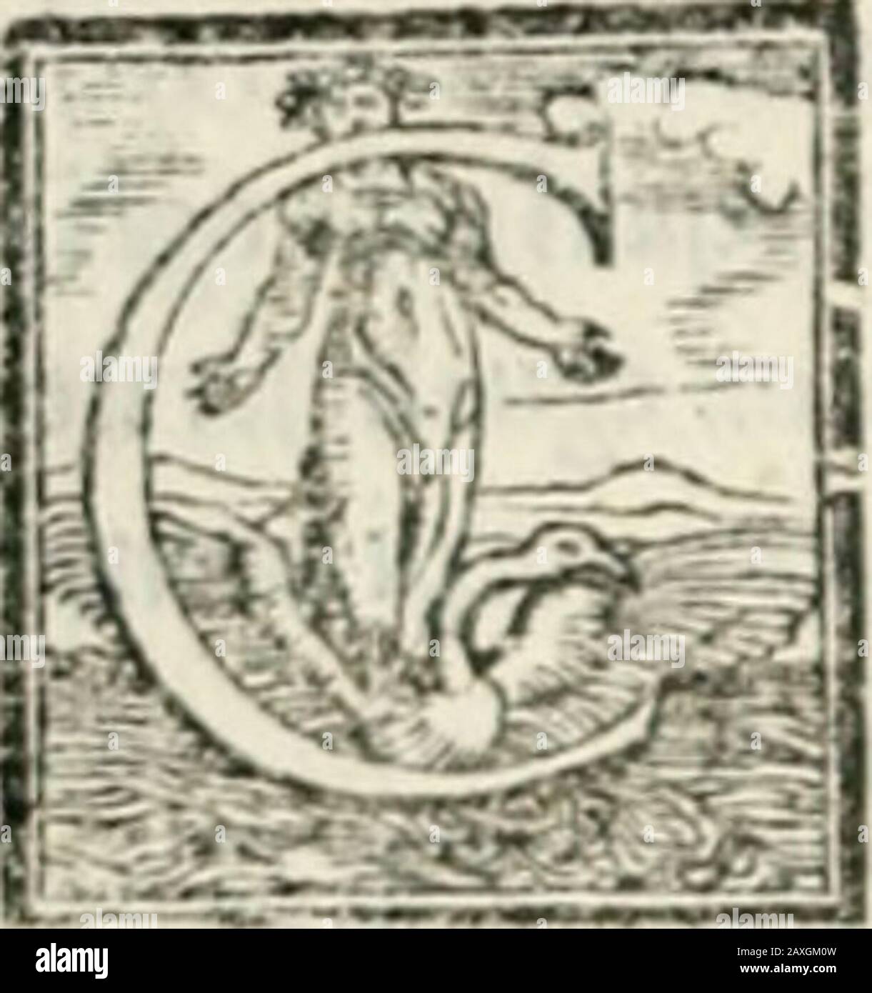 Genetica de gli dei : i qvin deci libri . IL FINE DEL SECONDO LIBRO, 46 IL TERZO LI BRO DI MES SBK G I O. B O C C A C C I O SOPRA LAGENBOLOGIA DB GLI DBIGENTILI. TRADOTTO E T ADORNATO PER MESSER GIVSBPPBB E T V S S I . AL MAGNANIMO S^O SIGOR EY IL CONTE COLLALTINO • DI COLLALTO, Foto Stock