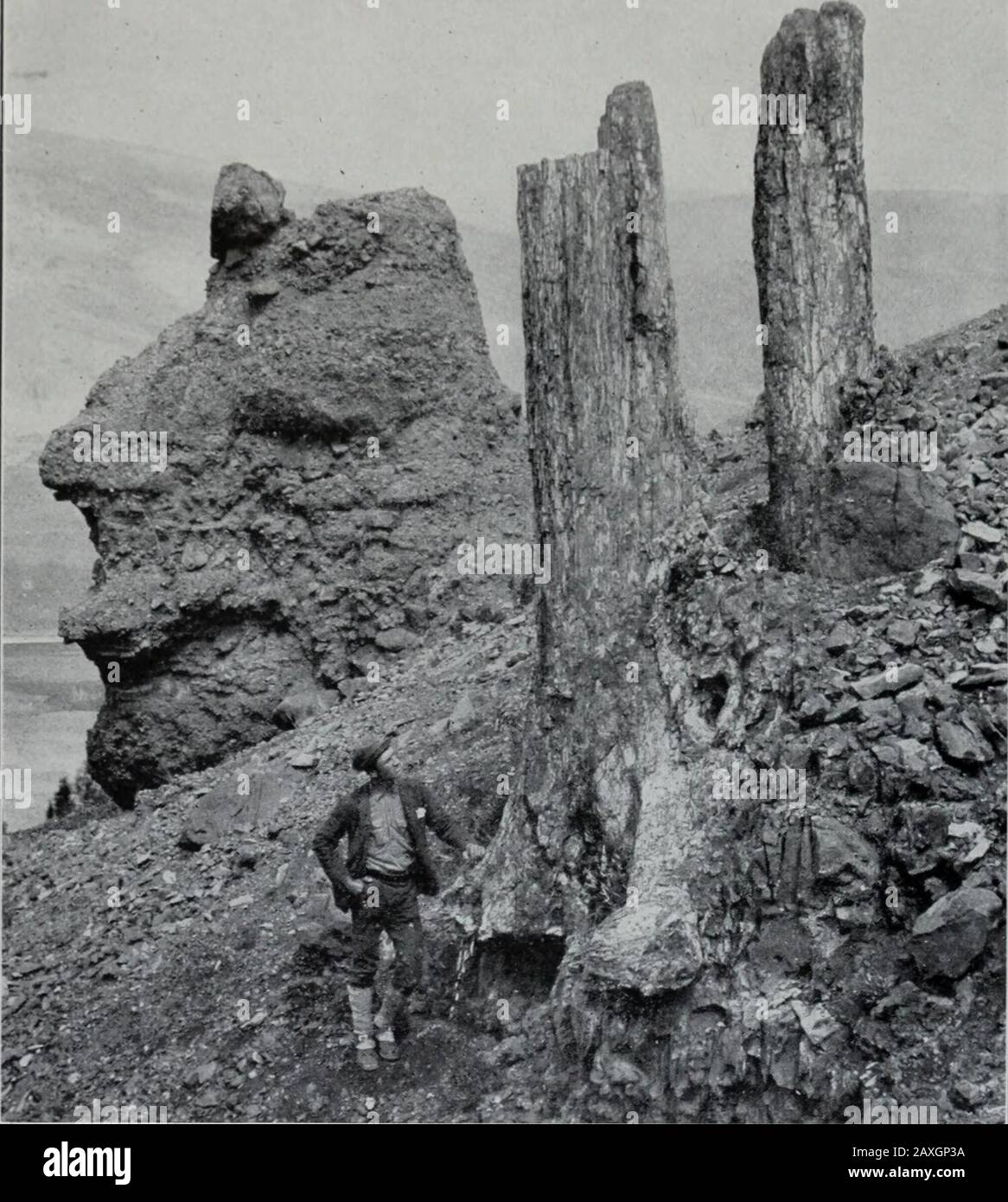 Geologia . Fig. 449.- Monumento di Gering (Miocene) pietra arenaria sopra l'argilla di Brule (Eocene), westernNebraska. (Darton, U. S. Geol. Surv.) così come coni vulcanici sono stati formati, e le intrusioni così come exru-sions erano di frequente occorrenza. Testimonianze di attività vulcaniche durante questo periodo si trovano in quasi o quasi tutti gli Stati ad ovest delle montagne rocciose. Tra gli altri centri di attività ignea si possono citare il bacino del Columbia l e il Yellowstone National 1 Landes, Washington Geol. Surv., Vol. II, e Smith, G. O., Ellensburg Folio, U. SGeol. Surv. QEOLOQY. Parco,1 dove testimonianze di Miocene vol Foto Stock