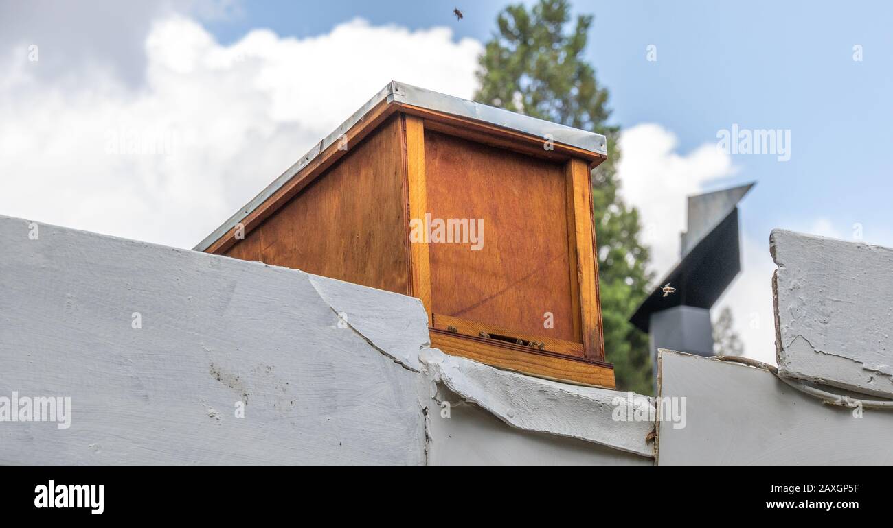 Alveari nei tetti della città - un alveare su un'immagine residenziale sul tetto in formato orizzontale Foto Stock