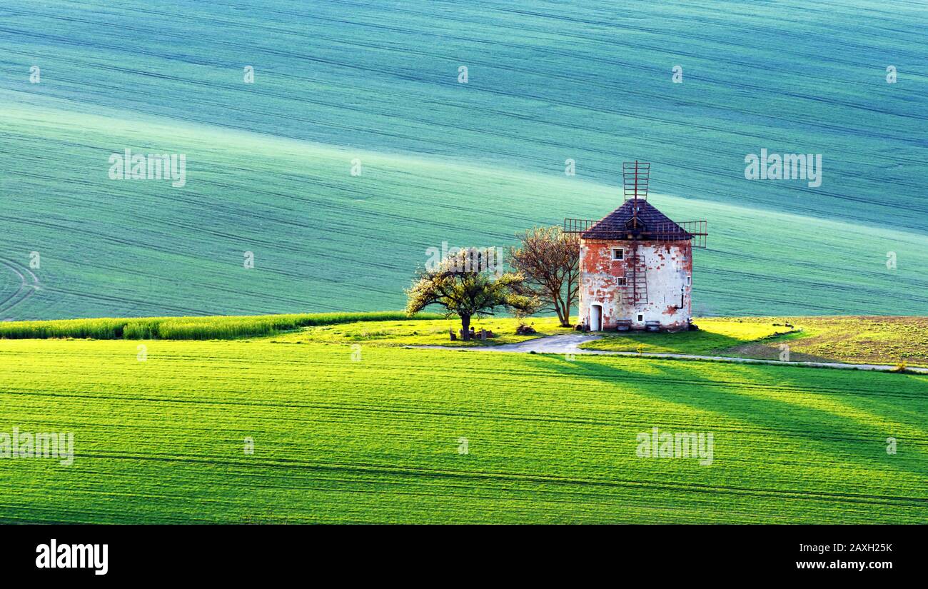 Splendido paesaggio rurale con antico mulino a vento e verdi colline di primavera. Regione Della Moravia Meridionale, Repubblica Ceca Foto Stock