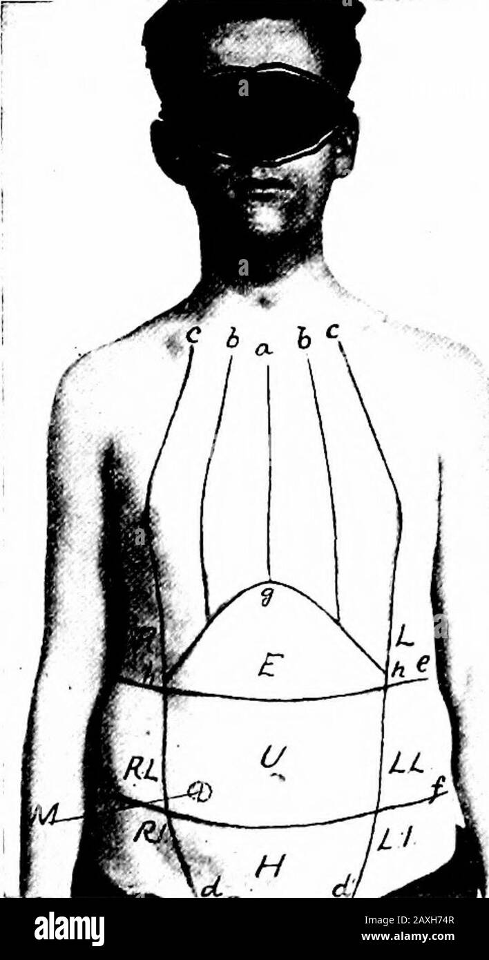 Line Rascetta Anatomy Ascella anatomia immagini e fotografie stock ad alta risoluzione - Alamy