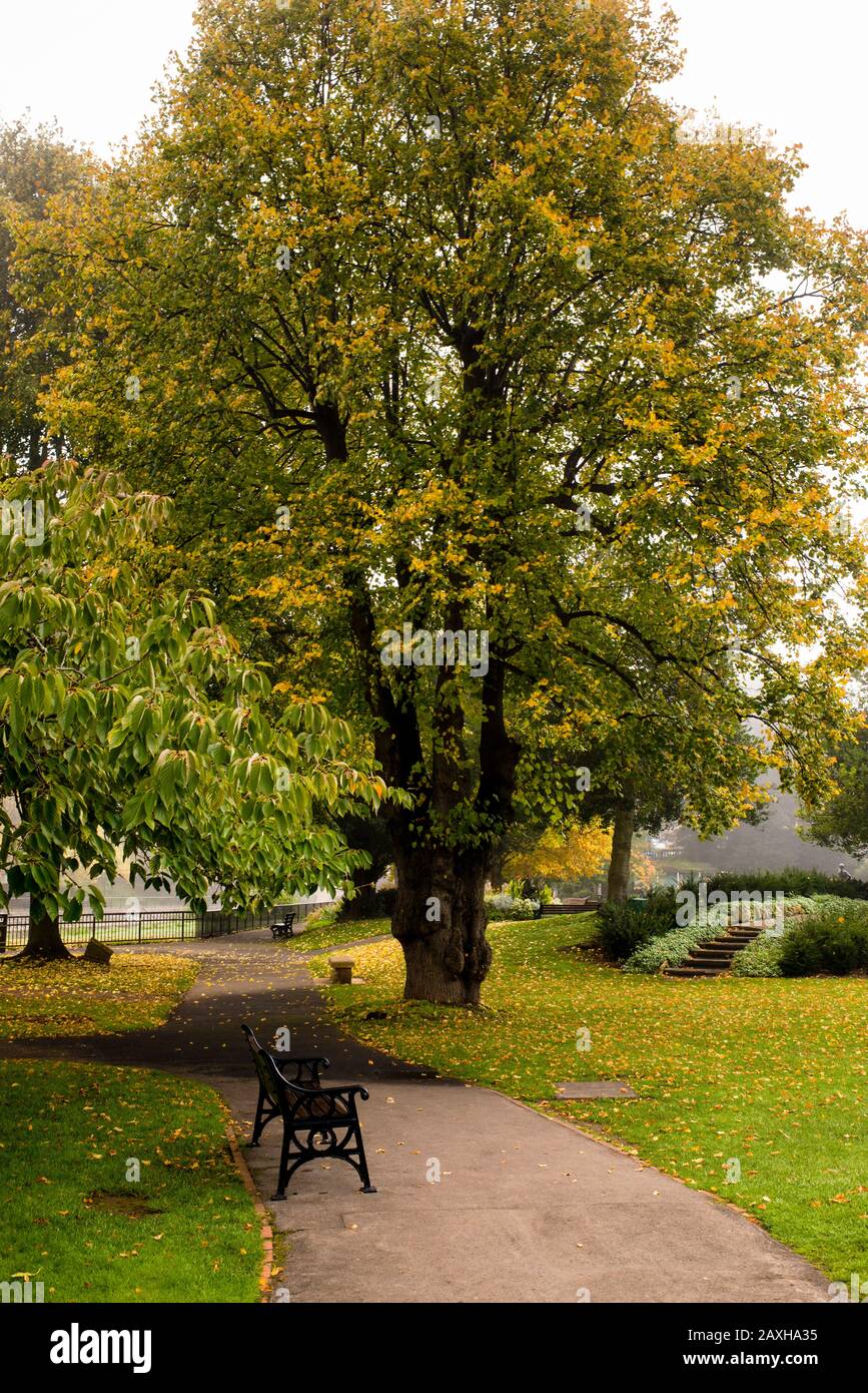 Parade Gardens Public Park a Bath, Inghilterra. Foto Stock