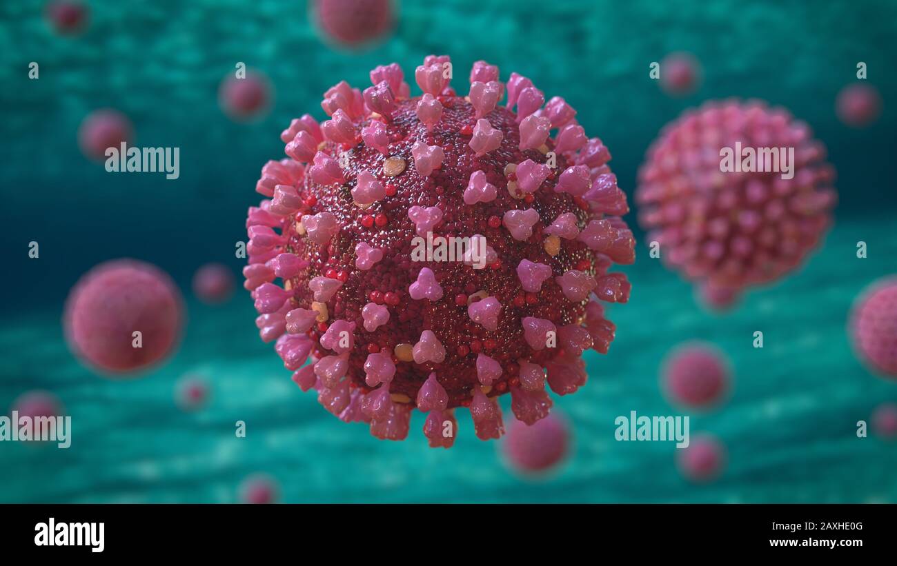 coronavirus, virus che causa infezioni respiratorie e il raffreddore comune Foto Stock